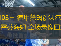 11月03日 德甲第9輪 沃爾夫斯堡vs霍芬海姆 全場錄像回放