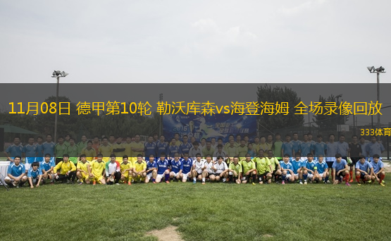 11月08日 德甲第10輪 勒沃庫森vs海登海姆 全場錄像回放