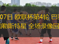11月07日 歐聯(lián)杯第4輪 巴塞爾vs布加勒斯特星 全場錄像回放