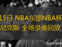 11月15日 NBA東部NBA杯 熱火vs尼克斯 全場錄像回放