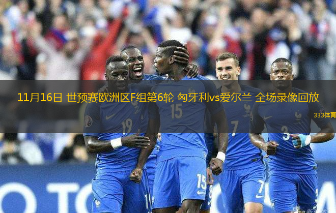 11月16日 世預(yù)賽歐洲區(qū)F組第6輪 匈牙利vs愛爾蘭 全場錄像回放