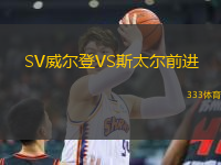 SV威爾登VS斯太爾前進