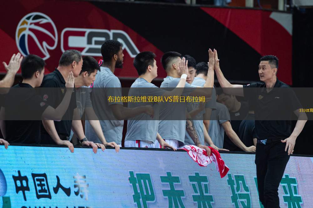 布拉格斯拉維亞B隊(duì)VS普日布拉姆