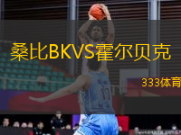桑比BKVS霍爾貝克