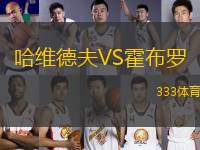 哈維德夫VS霍布羅