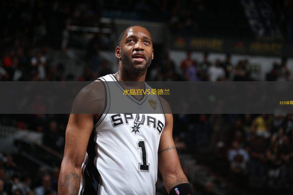 水晶宮VS桑德蘭