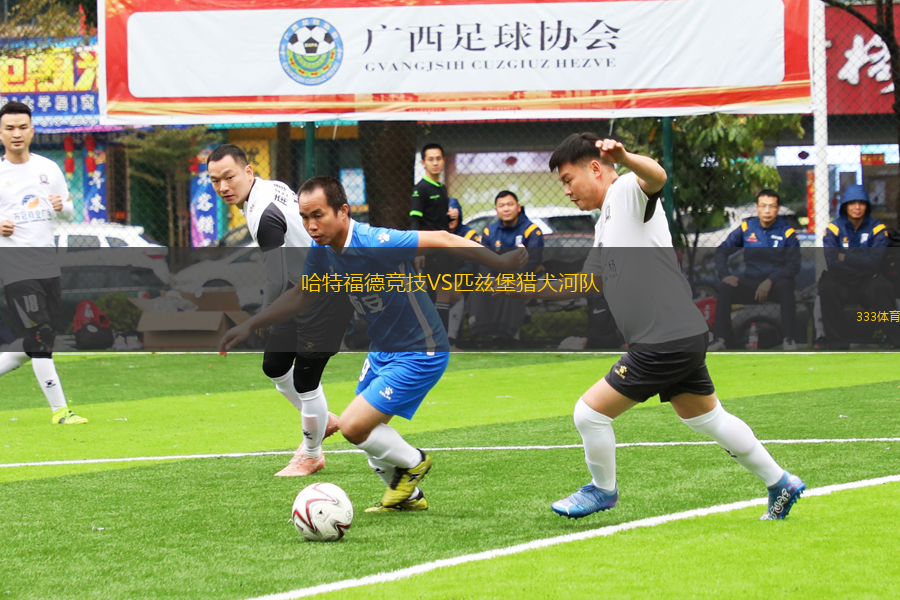 哈特福德競技VS匹茲堡獵犬河隊(duì)