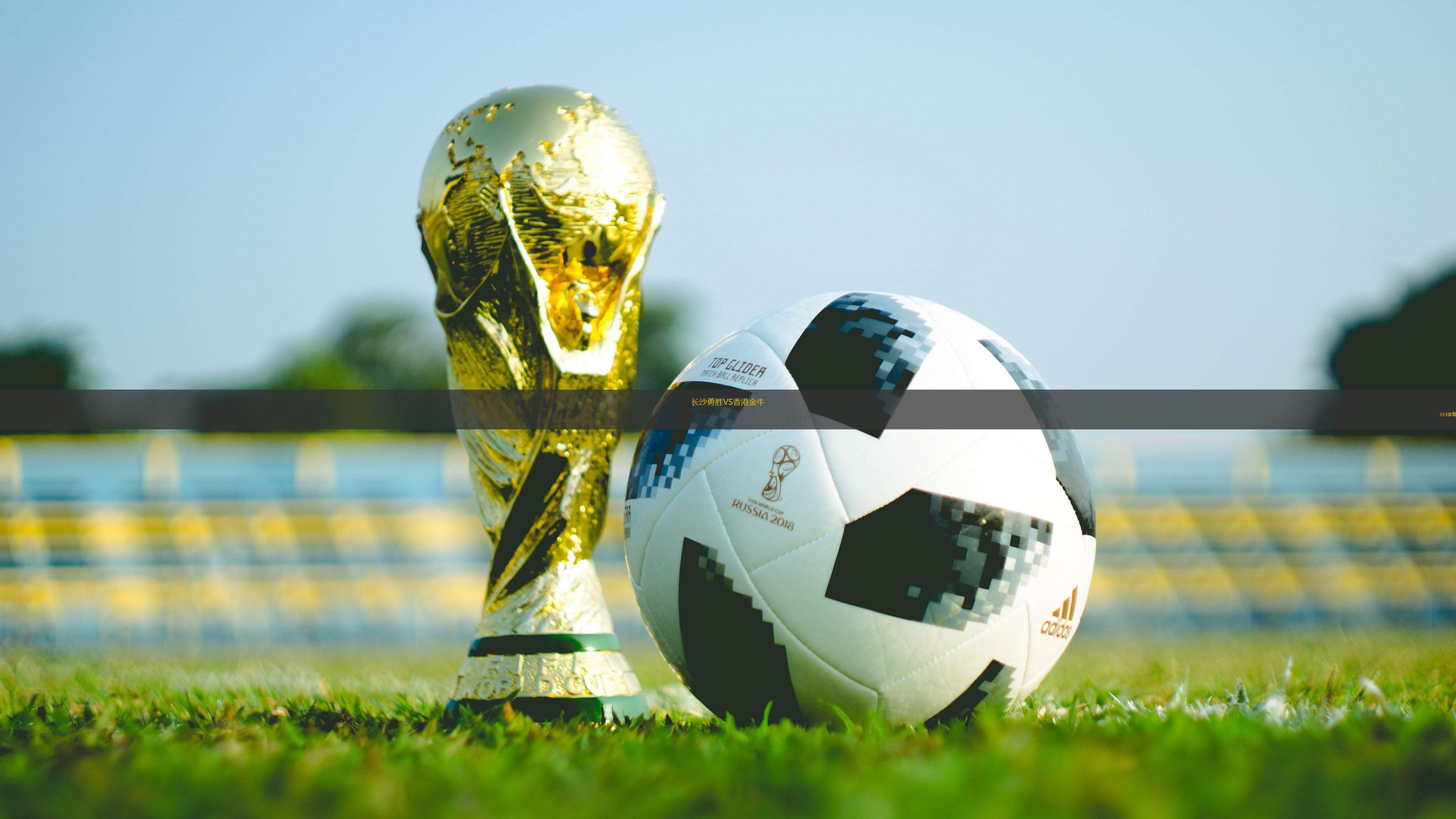 長(zhǎng)沙勇勝VS香港金牛