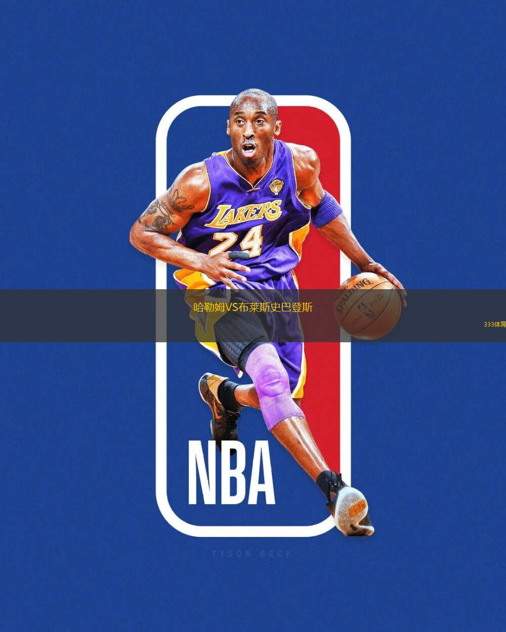 哈勒姆VS布萊斯史巴登斯