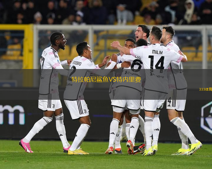 特拉帕尼鯊魚(yú)VS特內(nèi)里費(fèi)