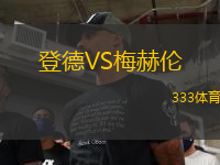 登德VS梅赫倫