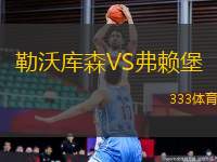 勒沃庫森VS弗賴堡