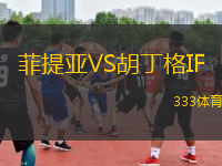 菲提亞VS胡丁格IF