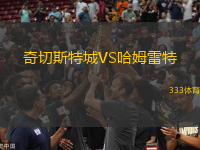 奇切斯特城VS哈姆雷特