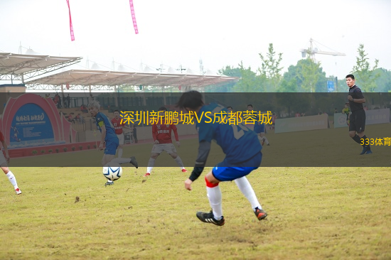 深圳新鵬城VS成都蓉城