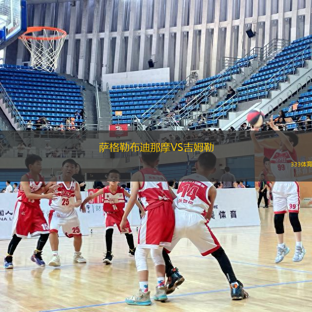 薩格勒布迪那摩VS吉姆勒