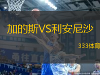加的斯VS利安尼沙