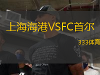 上海海港VSFC首爾