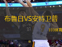 布魯日VS安特衛(wèi)普