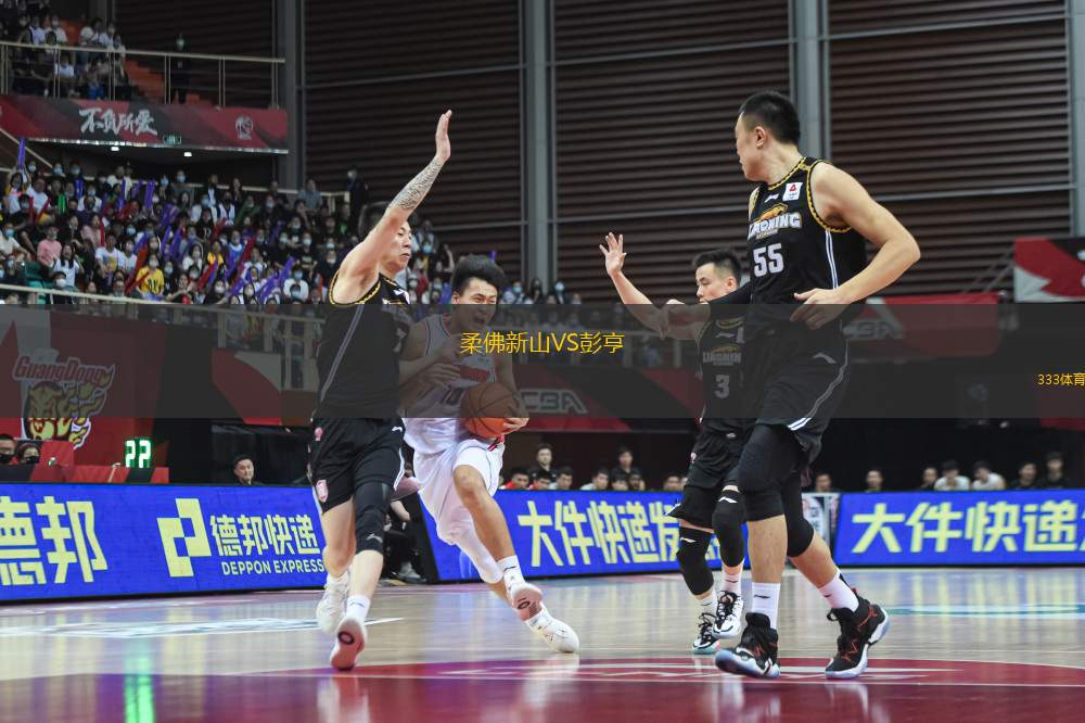 柔佛新山VS彭亨