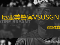 尼亞美警察VSUSGN