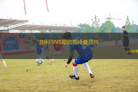 加利爾VS耶路撒冷夏普爾