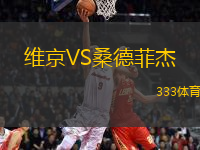 維京VS桑德菲杰