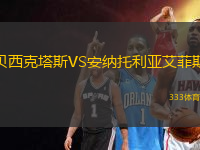 貝西克塔斯VS安納托利亞艾菲斯