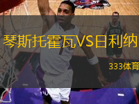 琴斯托霍瓦VS日利納