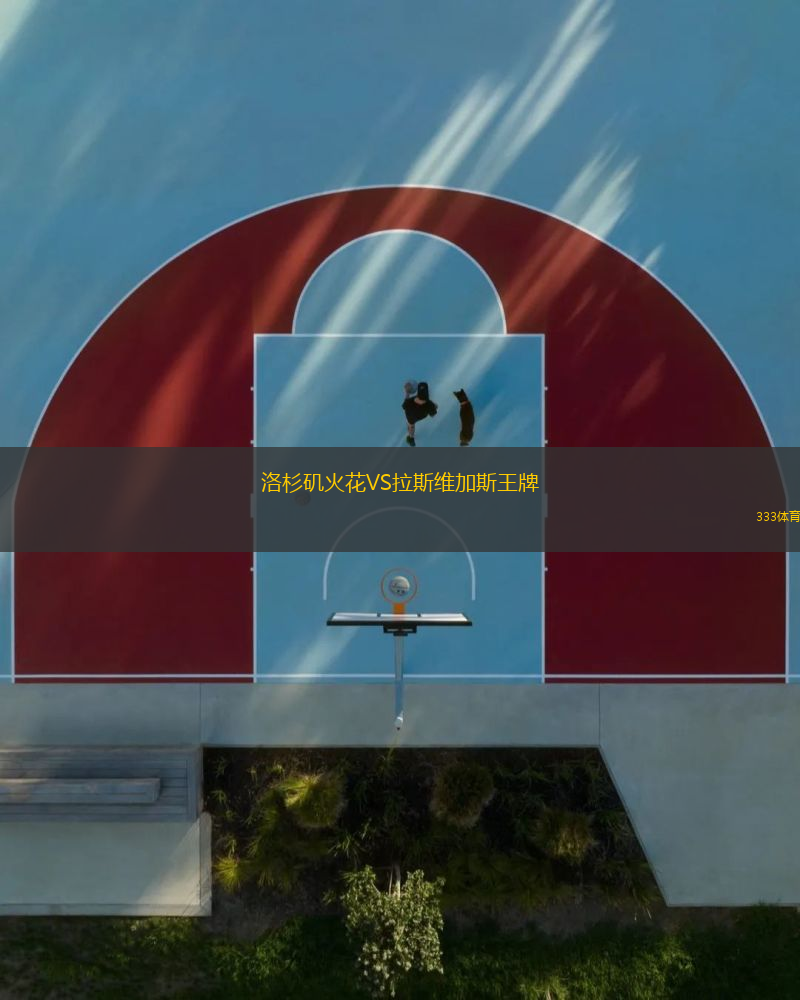 洛杉磯火花VS拉斯維加斯王牌