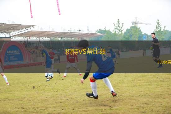 積特VS蒂比茲