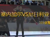 塞內(nèi)加爾VS尼日利亞