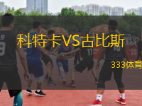 科特卡VS古比斯